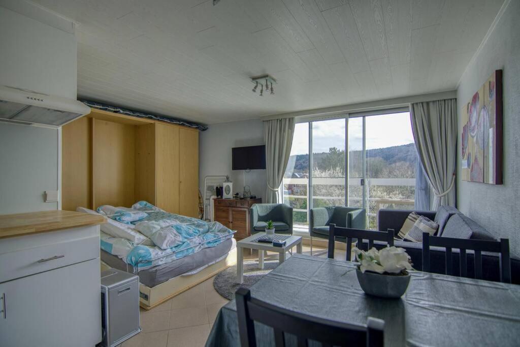 Studio Au Domaine Le Vieux Moulin Διαμέρισμα Han-sur-Lesse Εξωτερικό φωτογραφία